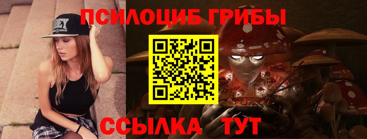Псилоцибиновые грибы MAGIC MUSHROOMS  Вход с VPN  Чапаевск 