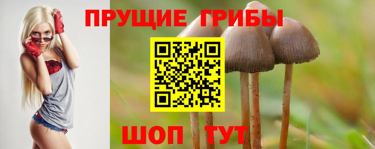 Галлюциногенные грибы GOLDEN TEACHER Чапаевск